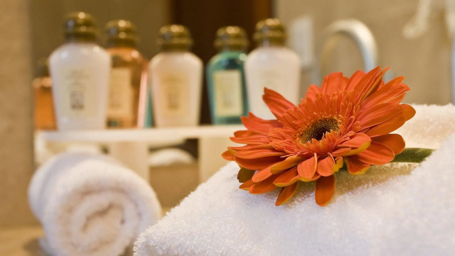 Hotel Stubel Suites & Cafe Quito